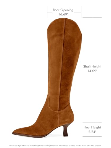 Womens Knee High Boots Kitten Heel Pointed Toe Tall Boots Side Zipper Fall Winter Shoes